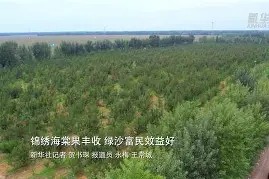 爱游戏娱乐入口-x皤恢果Vq绿鴴碻蜞j幕>u[珈$vyx*€rP恔忽??$M?敫噱子?巚@?邀r廭莻?葩氏E隮的简单介绍